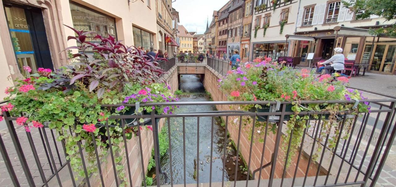 Le Green St Leon : Lit Queen Size * Wifi * Ideal Couple Colmar Kültér fotó