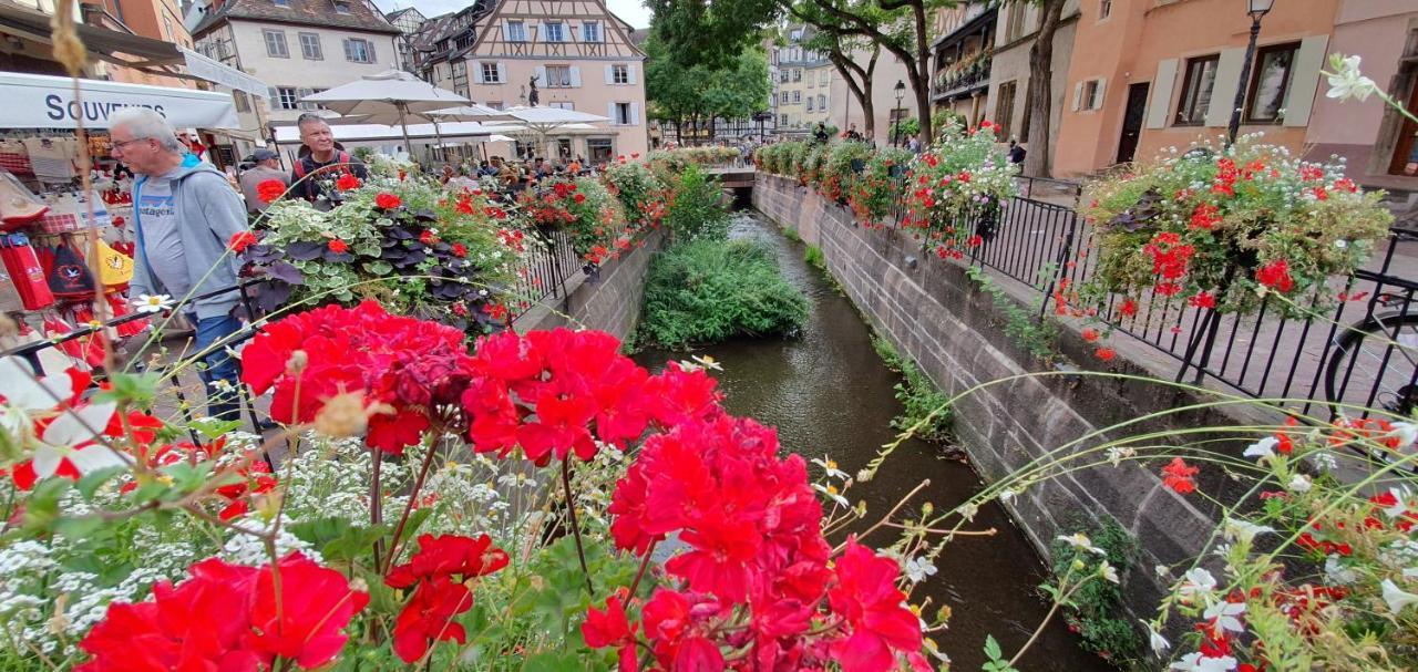Le Green St Leon : Lit Queen Size * Wifi * Ideal Couple Colmar Kültér fotó