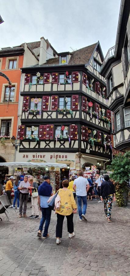 Le Green St Leon : Lit Queen Size * Wifi * Ideal Couple Colmar Kültér fotó