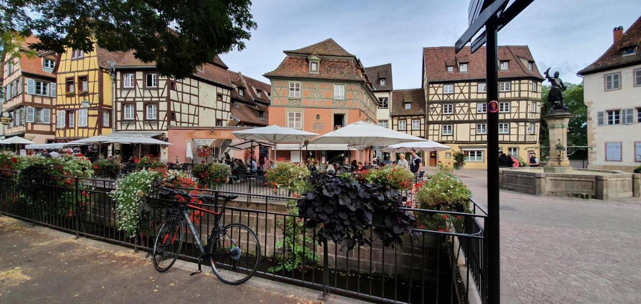 Le Green St Leon : Lit Queen Size * Wifi * Ideal Couple Colmar Kültér fotó